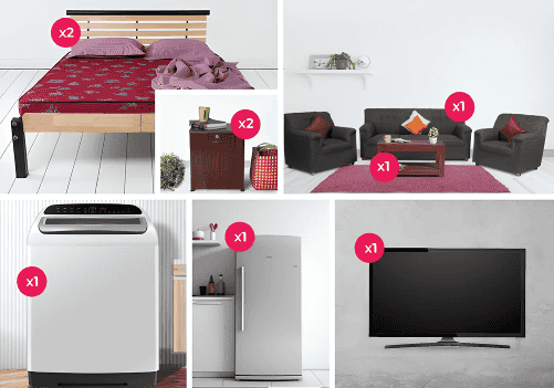 Fully Furnished 2 BHK Combo